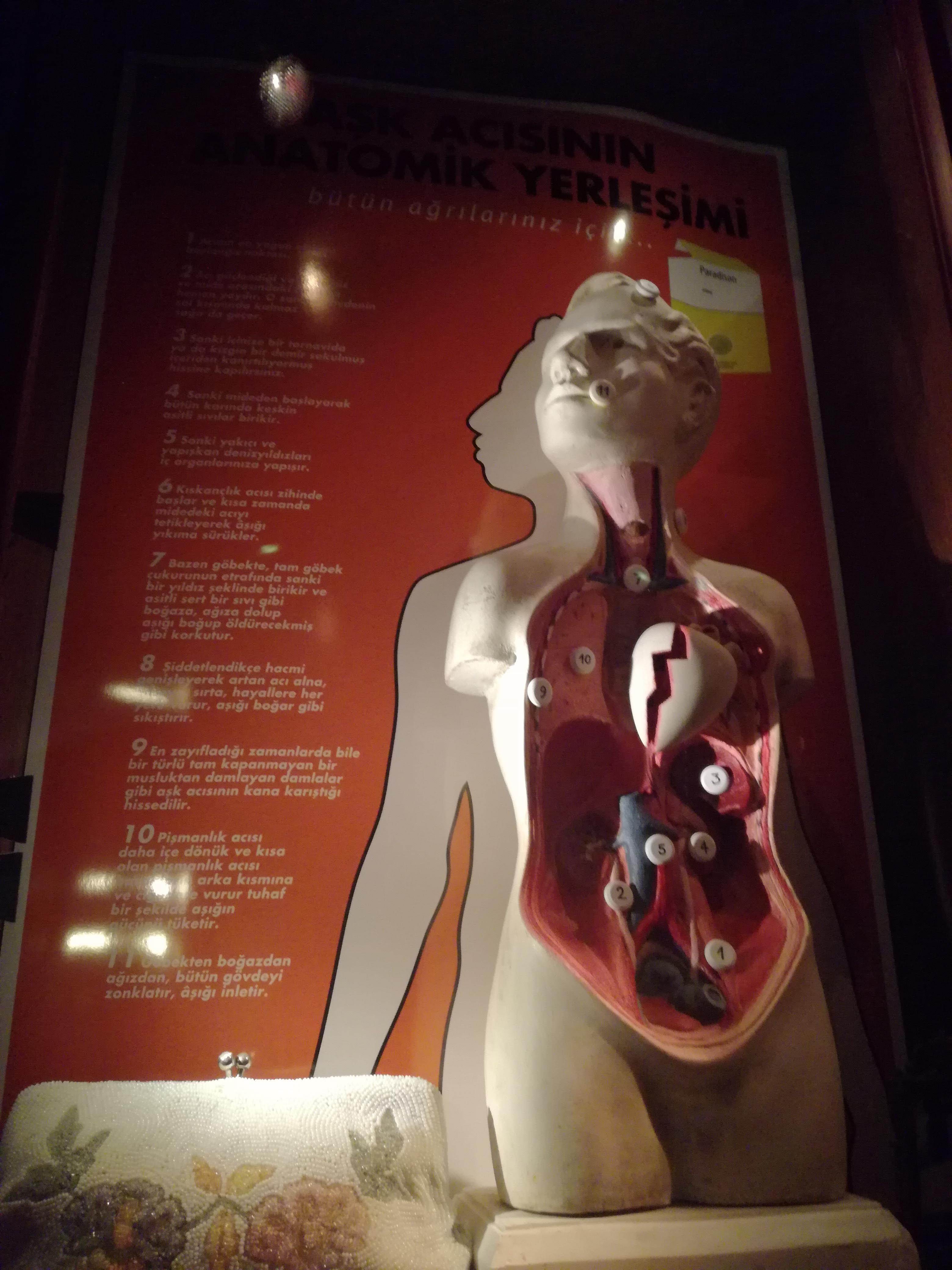 anatomia unei inimi frante